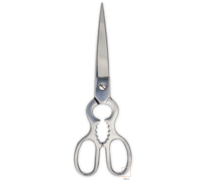 TESOURA INOX P/PEIXE 21 CM
